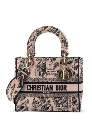 Christian Dior Pre-Owned Lady D-Lite Bag Embroidered Canvas Medium satchel - Black