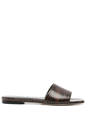 Aeyde Anna slides - Brown