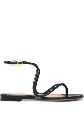 Gianvito Rossi Black Mamba sandals