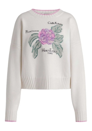 Alberta Ferretti floral knitwear - Neutrals