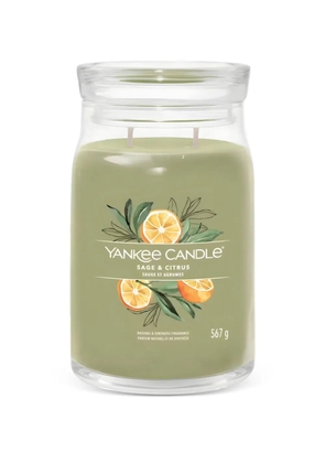 yankee candle large Sage & Citrus candle - Green