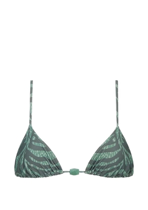 TROPIC OF C Equator zebra-print bikini top - Grey