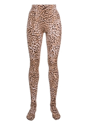 Roberto Cavalli leopard-print high-waisted leggings - Brown