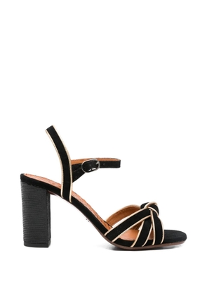 Chie Mihara Ballah knot-detail sandals - Black