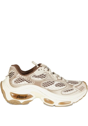 Ash Dragon 08 sneakers - Brown