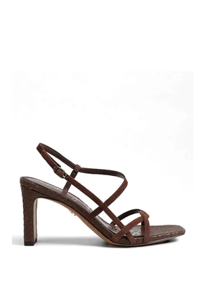 Sam Edelman Elissa strappy sandals - Brown