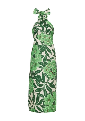 Cara Cara Perla floral-print halterneck midi dress - Green