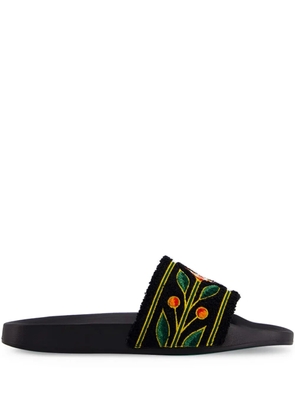 Casablanca Laurel terry slides - Black