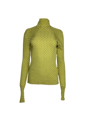 Bottega Veneta Pre-Owned Dragon turtleneck top - Green