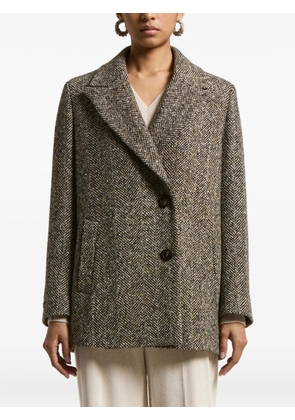 Peserico herringbone tweed coat - Brown