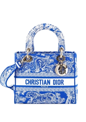 Christian Dior Pre-Owned Lady D-Lite Bag Embroidered Canvas Medium satchel - Blue