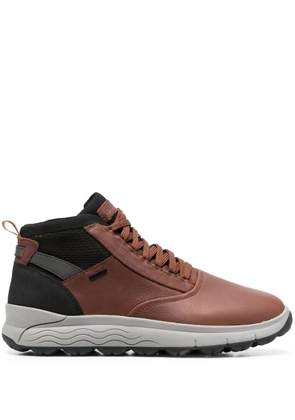 Geox Spherica 4X4 high-top sneakers - Brown