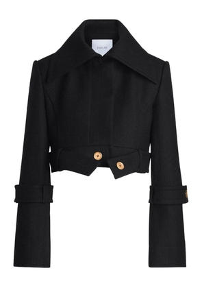 Patou belted wide-lapel jacket - Black