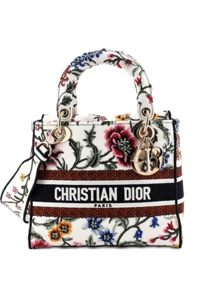 Christian Dior Pre-Owned Lady D-Lite Bag Embroidered Canvas Medium satchel - Multicolour