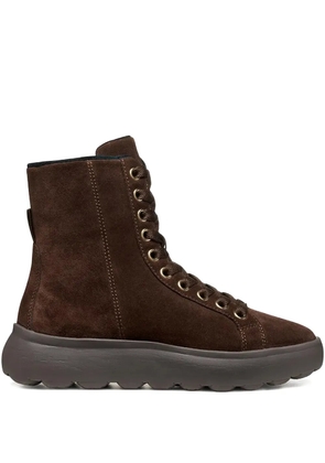 Geox Spherica EC4.1 boots - Brown