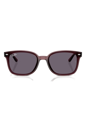 Ray-Ban RB4461D sunglasses - Brown