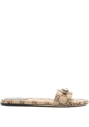Gucci Siaga sandals - Brown