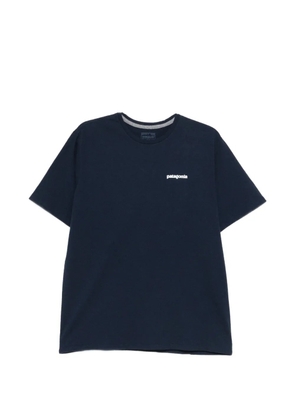 Patagonia graphic T-shirt - Blue