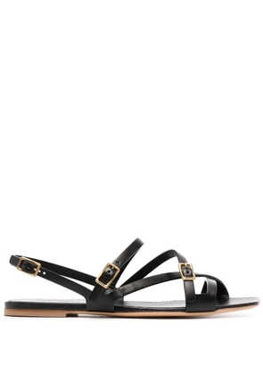 Tod's crossover buckled sandals - Black