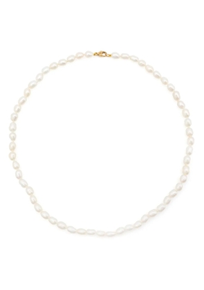 Adina Reyter 14kt yellow gold Chunky Seed pearl necklace - White