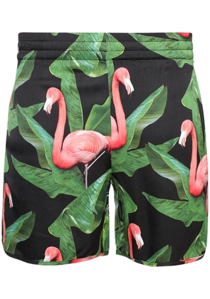 BLUE SKY INN Flamingo shorts - Green