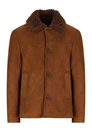 Salvatore Santoro shearling collar jacket - Brown
