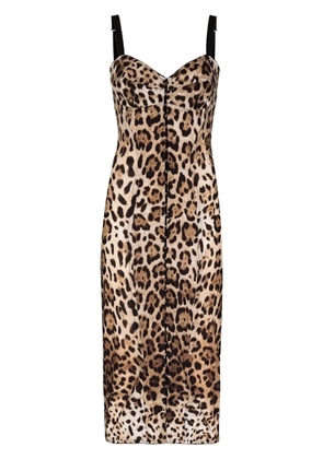 Dolce & Gabbana leopard-print midi dress - Neutrals