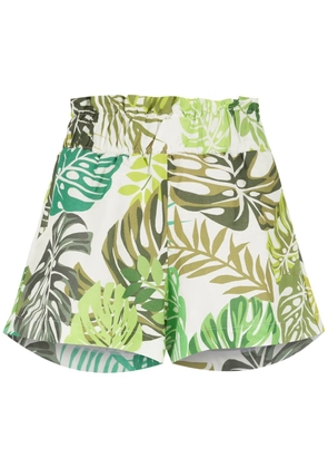 Amir Slama palm leaf print shorts - Green