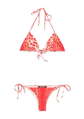 Roberto Cavalli jaguar skin-print bikini - Red