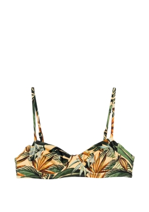 FARM Rio Tropical bikini top - Yellow