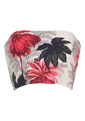 Cara Cara Elsa floral bustier top - Neutrals