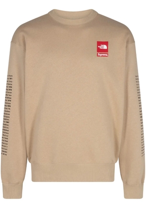 Supreme x The North Face 'Khaki' sweatshirt - Neutrals