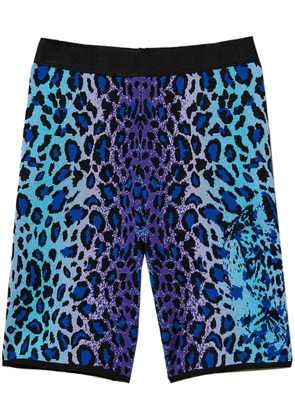 TWINSET leopard-print shorts - Blue