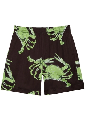 MSGM graphic-print shorts - Brown
