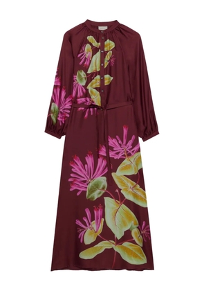 Pierre-Louis Mascia Aloe floral-print belted dress - Red