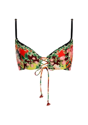 Agua Bendita Thyra bikini top - Red