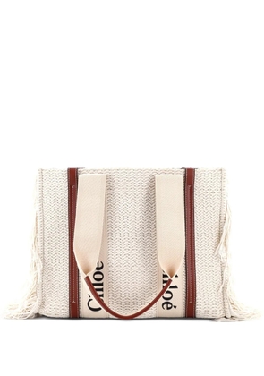 Chloé Pre-Owned Woody Fringe Wool Medium tote bag - Neutrals