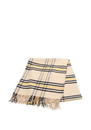 Hermès Pre-Owned 2010s striped cashmere scarf - Neutrals