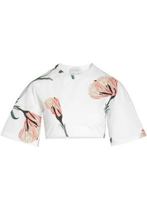 Giambattista Valli cotton cropped top - White