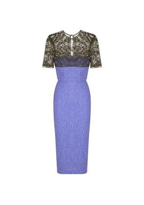 Alex Perry lace-sleeve pencil midi dress - Purple