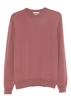 Daniele Fiesoli crew-neck sweater - Pink