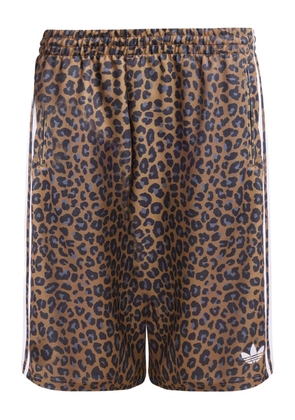 adidas leopard-print shorts - Brown