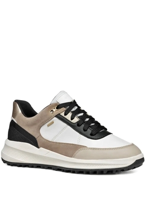 Geox leather panelled sneakers - White