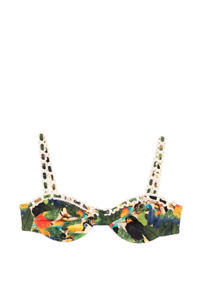 FARM Rio bird-print bikini top - Green
