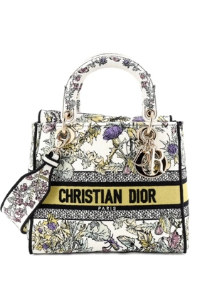 Christian Dior Pre-Owned Lady D-Lite Bag Embroidered Canvas Medium satchel - Multicolour