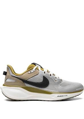 Nike Air Zoom Pegasus 41 sneakers - Grey
