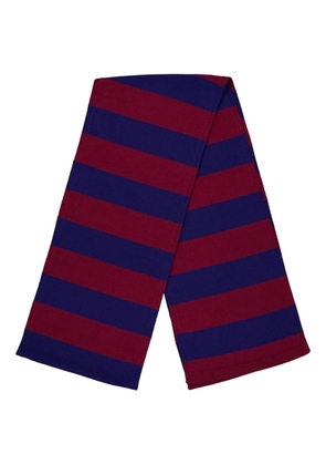 PAULA striped knitted scarf - Blue