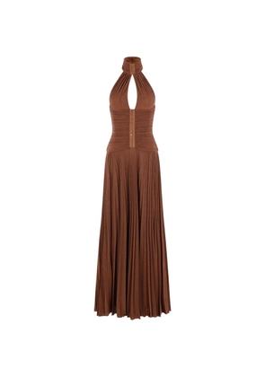 Elisabetta Franchi pleated halterneck maxi dress - Brown