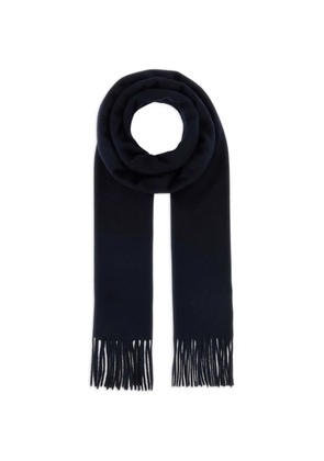 Max Mara fringed cashmere scarf - Blue