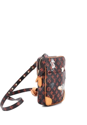 Louis Vuitton Pre-Owned Paname Bag Limited Edition Grace Coddington Catogram Canvas MM crossbody bag - Brown